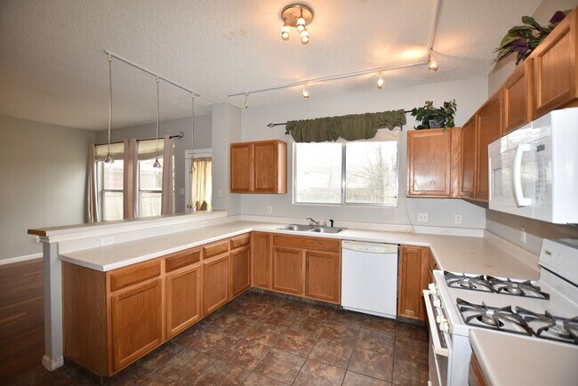 1303 Julies Walk in Pflugerville, TX - Building Photo - Building Photo