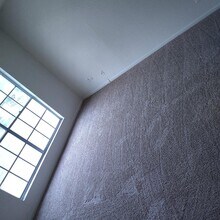 7817 Fuqua St in Houston, TX - Building Photo - Building Photo