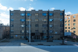 Dorael South Condominiums in Chicago, IL - Building Photo - Building Photo