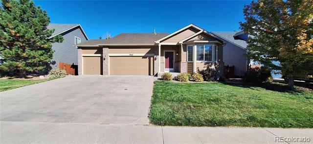 3645 Desert Ridge Cir in Castle Rock, CO - Building Photo - Building Photo