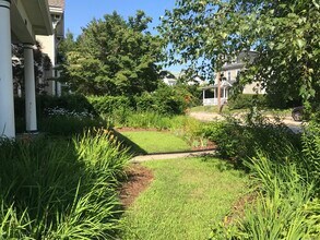 120 Elm St in Stonington, CT - Building Photo - Building Photo