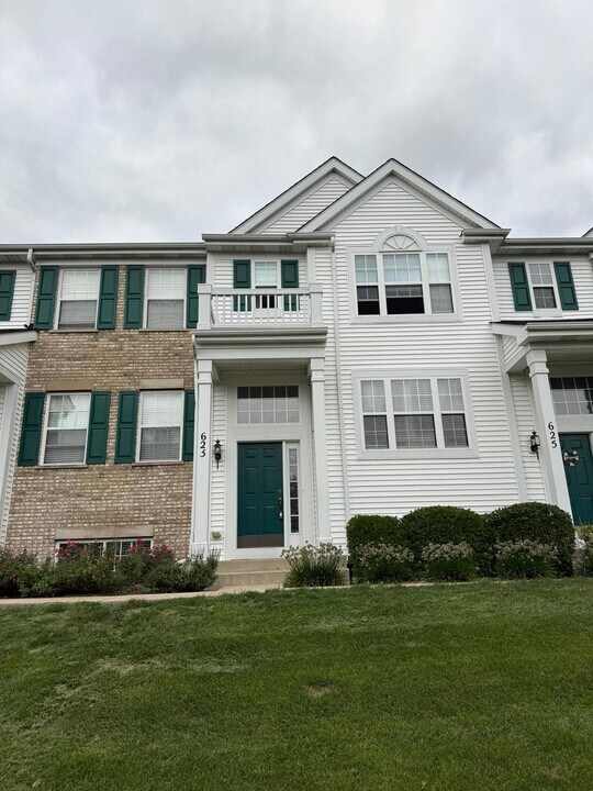623 Lincoln Station Dr in Oswego, IL - Building Photo