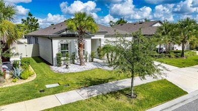 30439 Caravelle Ln in Wesley Chapel, FL - Building Photo - Building Photo