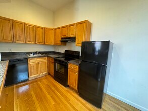 176 W Springfield St, Unit 1 in Boston, MA - Building Photo - Building Photo