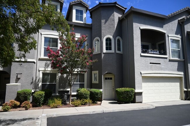 5542 Tares Cir in Elk Grove, CA - Building Photo - Building Photo