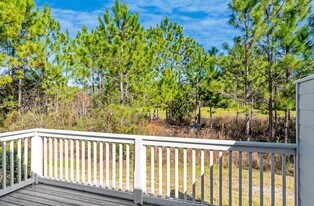 55 Golden Bell Ct in Watersound, FL - Building Photo