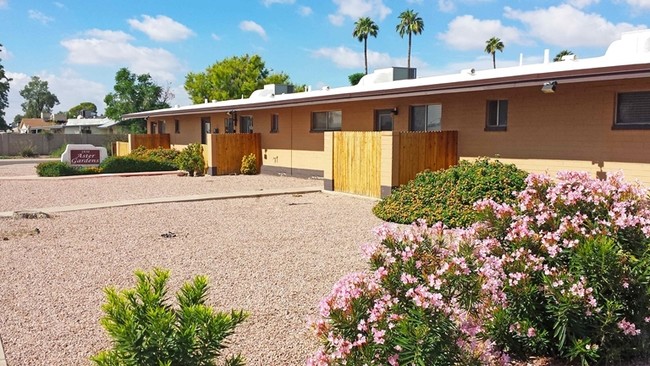 Aster Gardens in Phoenix, AZ - Building Photo - Building Photo