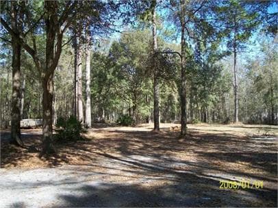 214-1 S Magnolia Dr in Tallahassee, FL - Building Photo - Building Photo