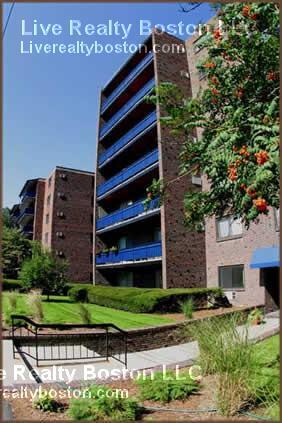 24 Whites Ave, Unit #45 in Watertown, MA - Foto de edificio - Building Photo