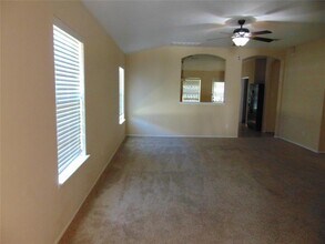 251 Wolfberry Path in Buda, TX - Building Photo - Building Photo