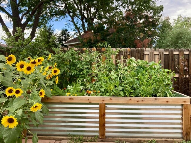 1500 Ashcroft Dr in Longmont, CO - Foto de edificio - Building Photo