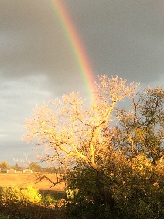 401 N 4th St in Grand Forks, ND - Building Photo