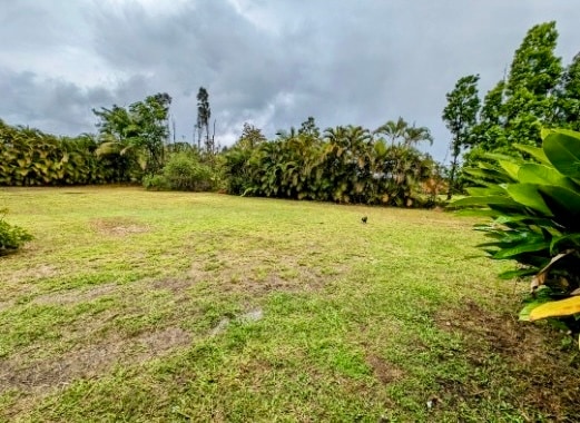 15-1456-1456 10th Ave in Keaau, HI - Building Photo - Building Photo