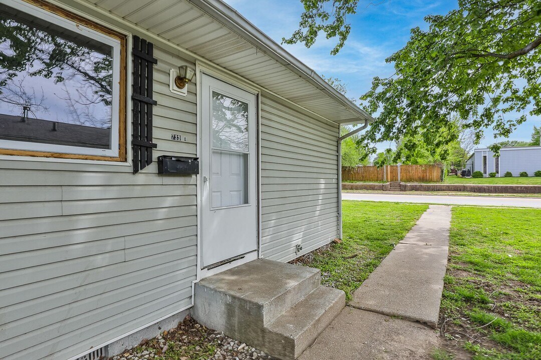 733 W College St in Springfield, MO - Building Photo