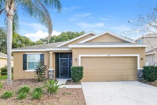 6353 Twin Bridges Dr in Zephyrhills, FL - Building Photo
