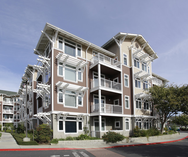 Shasta Point Retirement Community in Davis, CA - Building Photo - Building Photo