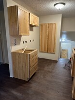 1134 Birchmont Dr NE in Bemidji, MN - Building Photo