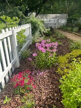 4504 Balcomb St in Chattanooga, TN - Building Photo - Building Photo