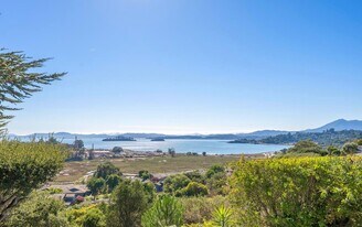 114 San Marino Dr in San Rafael, CA - Building Photo
