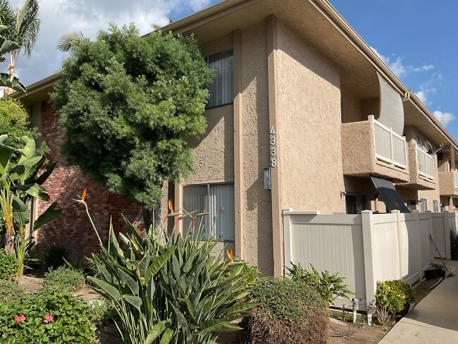 4338 Mammoth Ave in Sherman Oaks, CA - Building Photo - Building Photo