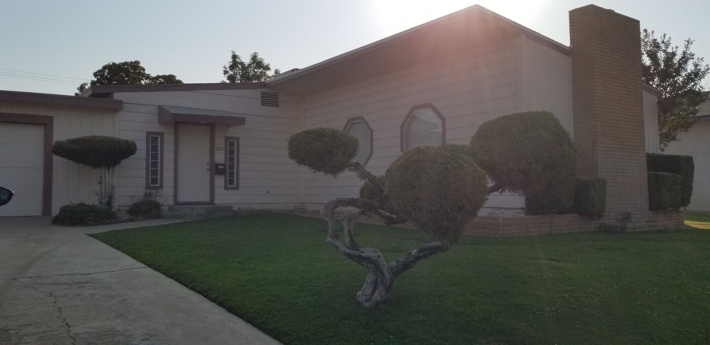 223 Lowell Dr in Bakersfield, CA - Building Photo