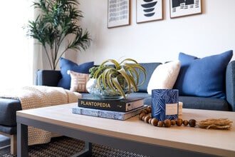 Legacy202 in Champaign, IL - Building Photo - Building Photo