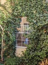 6424 Saint Josephs Ave NW in Albuquerque, NM - Building Photo - Building Photo