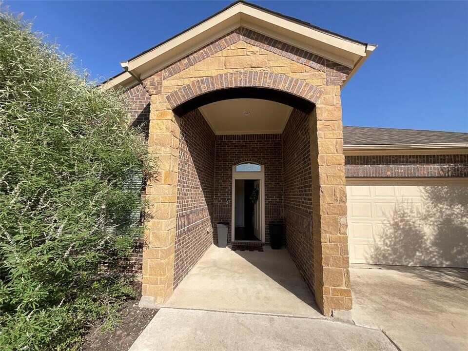 18317 Calasetta Dr in Pflugerville, TX - Building Photo