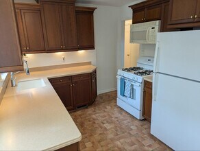 1016 Bird Ave in Birmingham, MI - Building Photo - Building Photo
