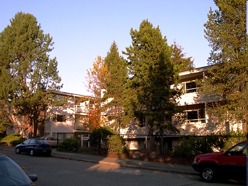 Lewison Place Apartments in Seattle, WA - Building Photo - Building Photo