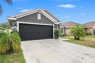 14442 Haddon Mist Dr in Wimauma, FL - Building Photo