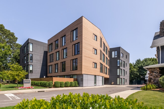 Whitney Modern