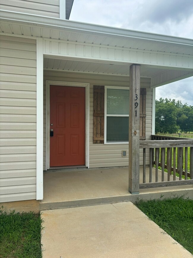 391 Co Rd 349 in Logan, AL - Building Photo - Building Photo