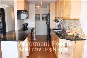 2650 N Lakeview Ave-Unit -3601 in Chicago, IL - Building Photo - Building Photo