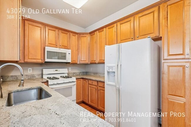 43079 Old Gallivan Terrace in Ashburn, VA - Building Photo - Building Photo