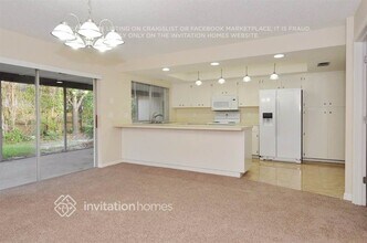 3127 Egret Terrace in Safety Harbor, FL - Building Photo - Building Photo