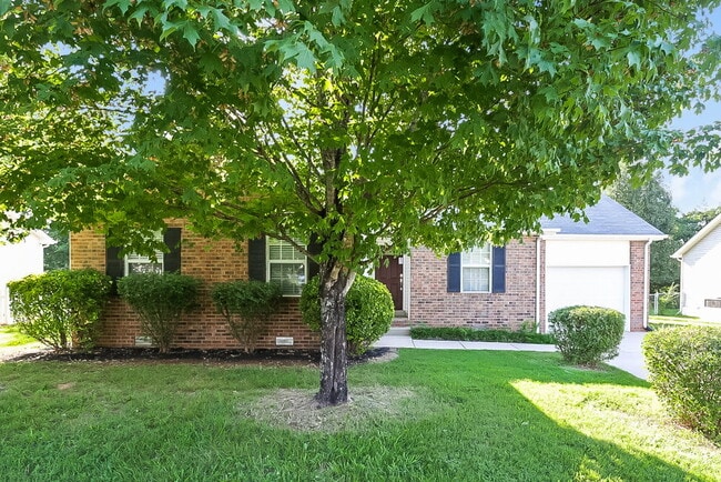 804 Odom Ct
