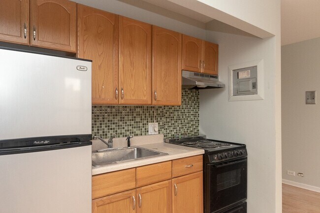450 W Wellington Ave in Chicago, IL - Building Photo - Building Photo
