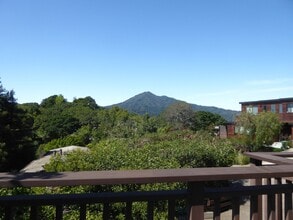 320 Vista Grande in Kentfield, CA - Building Photo - Building Photo