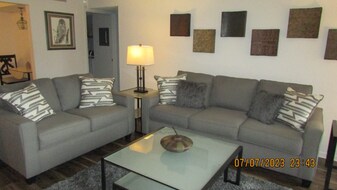 2699 Pine Ridge Way E in Palm Harbor, FL - Building Photo