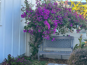1951 Julie Dawn Pl in Escondido, CA - Building Photo - Building Photo