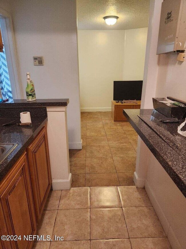 1736 Fruit Cove Woods Dr in Jacksonville, FL - Building Photo - Building Photo