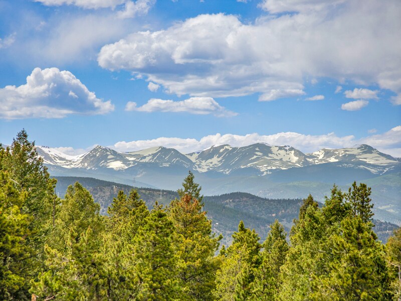 785 Warren Gulch Rd in Idaho Springs, CO - Building Photo