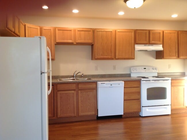 201 N Sherman St, Unit 107 in Houston, MN - Building Photo - Building Photo