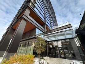 225 N Elizabeth St in Chicago, IL - Building Photo