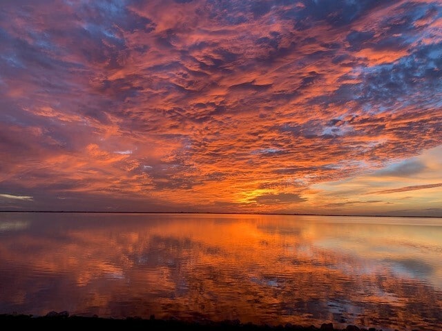 201 International Dr, Unit #733 in Cape Canaveral, FL - Building Photo - Building Photo