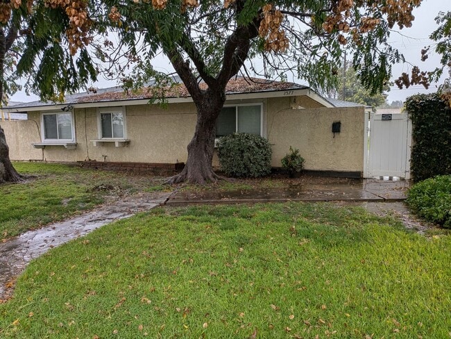 property at 2577 Sycamore Dr