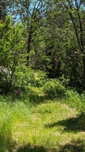 3274 Highland Ave in Grants Pass, OR - Building Photo - Building Photo