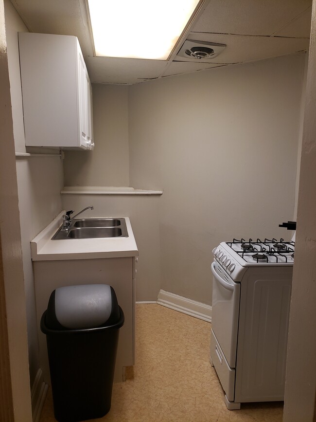 Spruce Place Apartments in Minneapolis, MN - Building Photo - Building Photo