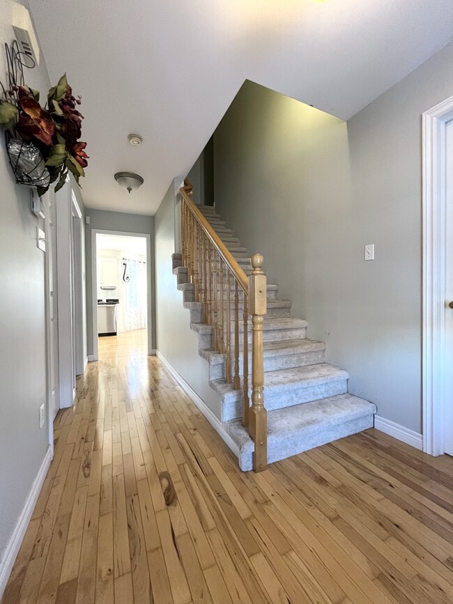 267 Stavanger Dr in St John's, NL - Building Photo - Building Photo